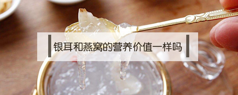 銀耳和燕窩的營養(yǎng)價值一樣嗎