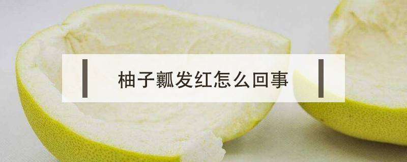 柚子瓤發紅怎么回事
