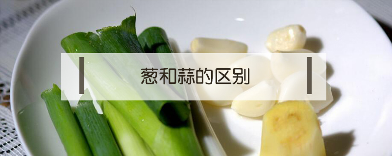 蔥和蒜的區別