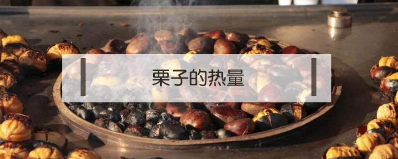 栗子的熱量