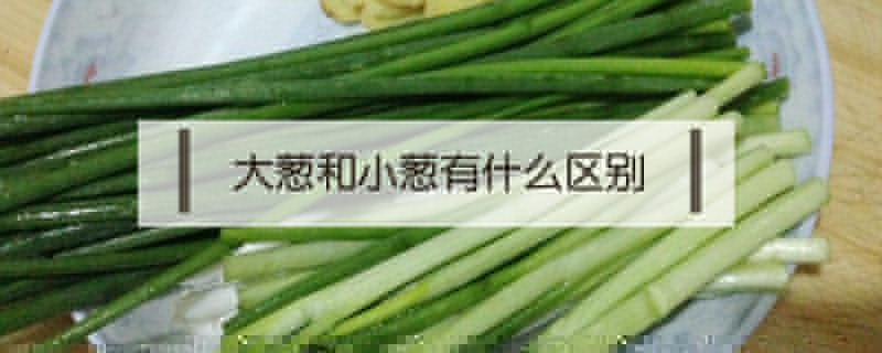 大蔥和小蔥有什么區(qū)別