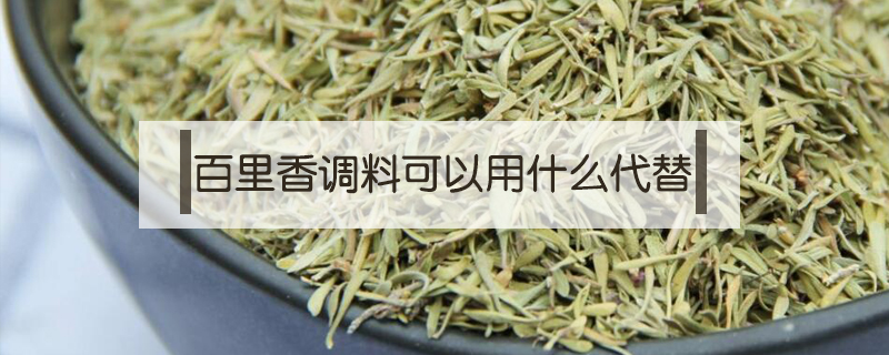 百里香調料可以用什么代替