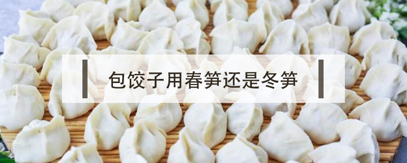 包餃子用春筍還是冬筍