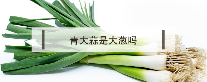 青大蒜是大蔥嗎