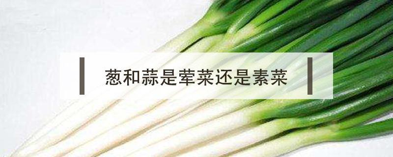 蔥和蒜是葷菜還是素菜