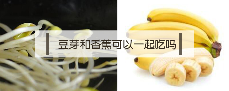 豆芽和香蕉可以一起吃嗎