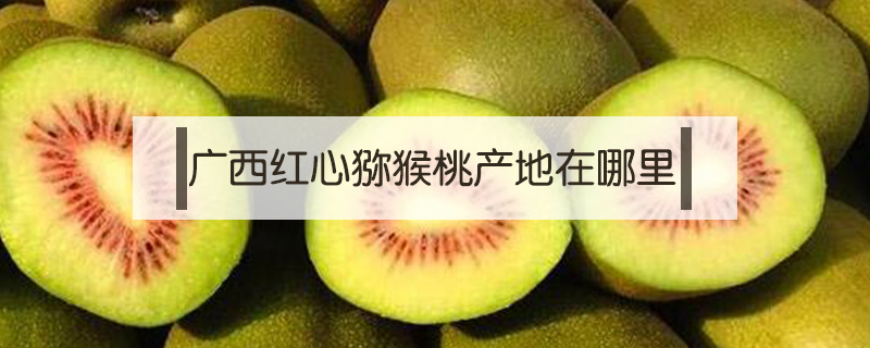 廣西紅心獼猴桃產地在哪里