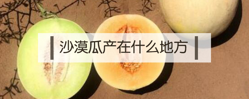 沙漠瓜產在什么地方