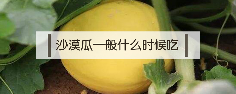 沙漠瓜一般什么時候吃