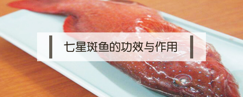 七星斑魚的營養(yǎng)價(jià)值