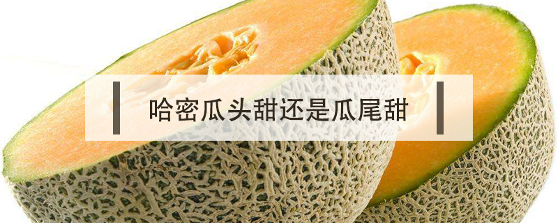 哈密瓜頭甜還是瓜尾甜