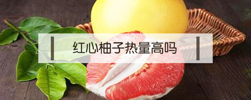 紅心柚子熱量高嗎