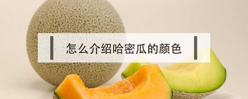 怎么介紹哈密瓜的顏色