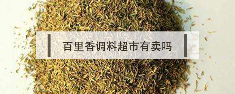 百里香調(diào)料超市有賣(mài)嗎