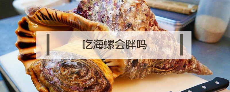 吃海螺會胖嗎