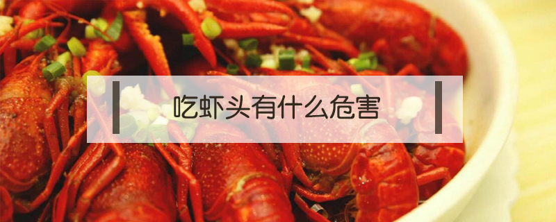 吃蝦頭有什么危害