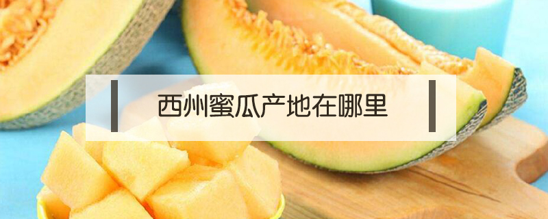 西州蜜瓜產(chǎn)地在哪里