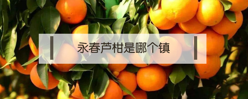 永春蘆柑是哪個鎮