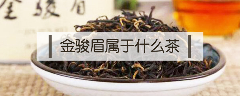 金駿眉屬于什么茶