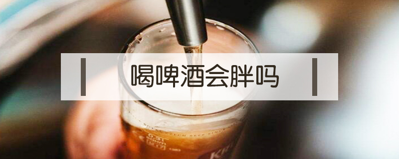 喝啤酒會(huì)胖嗎