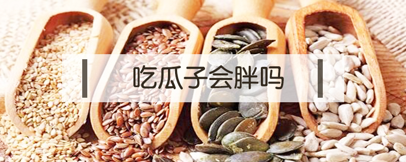 吃瓜子會胖嗎