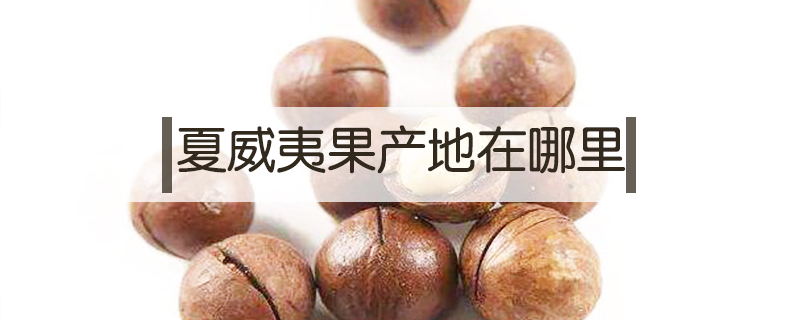 夏威夷果產(chǎn)地在哪里