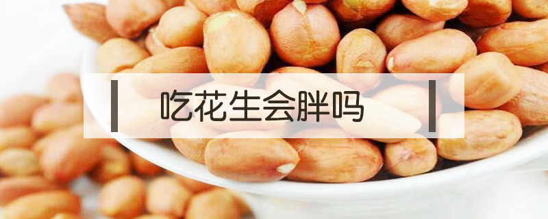 吃花生會胖嗎