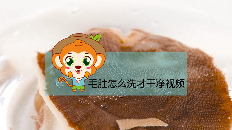 毛肚怎么洗才干凈視頻