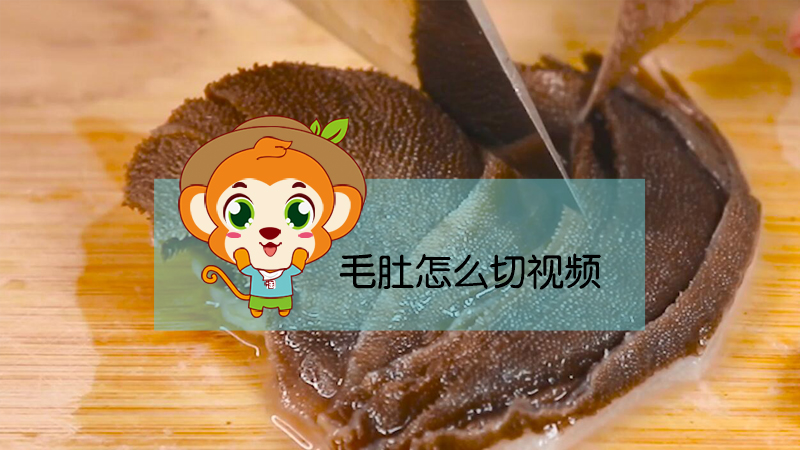 毛肚怎么切視頻