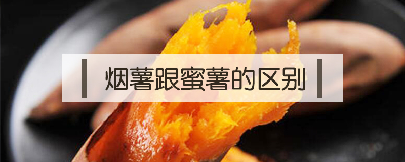 煙薯跟蜜薯的區別