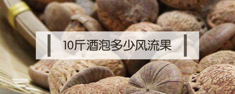 10斤酒泡多少風流果