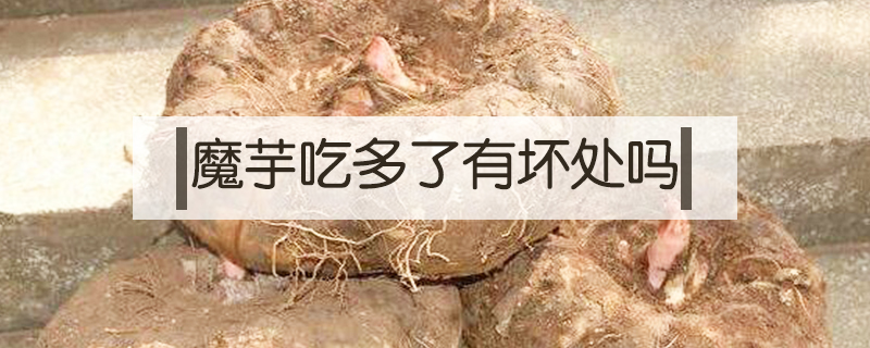 魔芋吃多了有壞處嗎