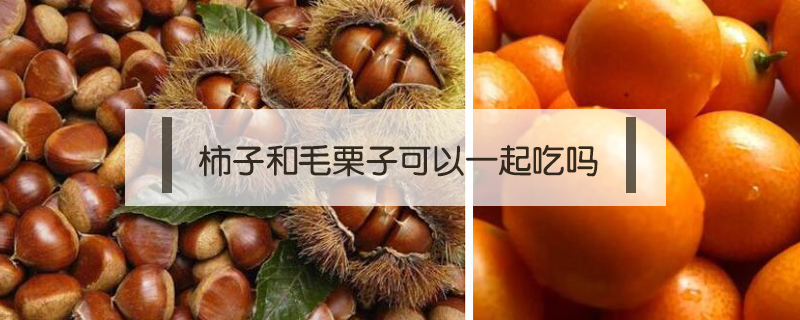 柿子和毛栗子可以一起吃嗎