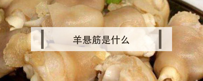 羊懸筋是什么