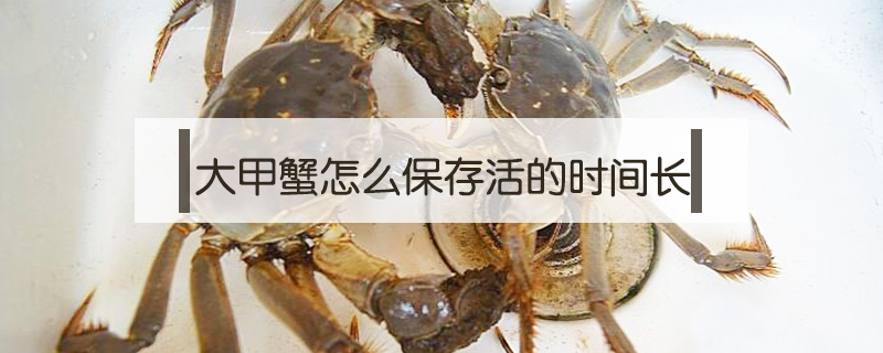 大甲蟹怎么保存活的時(shí)間長