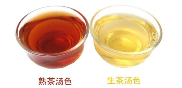 普洱茶屬于什么茶