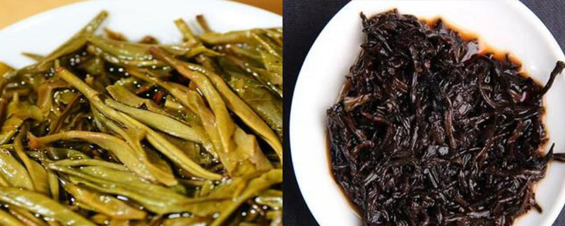 普洱茶屬于什么茶