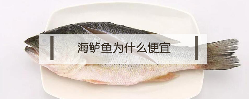 海鱸魚為什么便宜