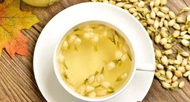 茉莉花茶屬于什么茶