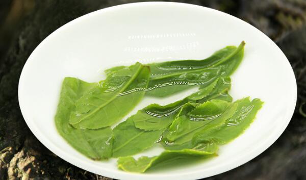 六安瓜片屬于什么茶