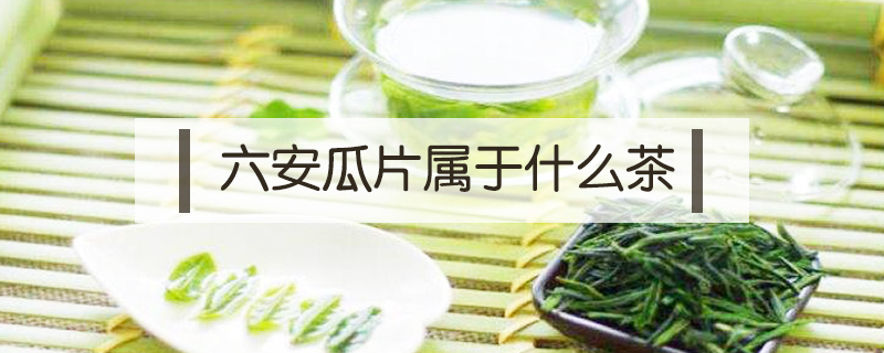 六安瓜片屬于什么茶