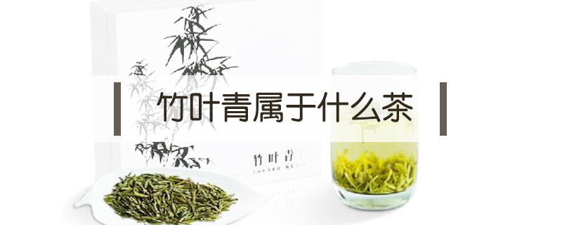 竹葉青屬于什么茶
