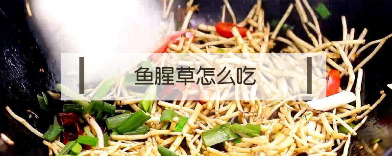 魚腥草怎么吃