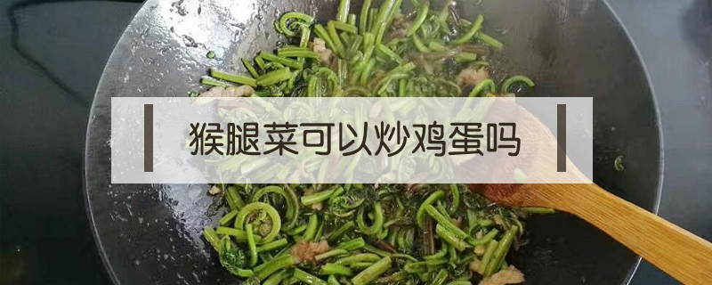 猴腿菜可以炒雞蛋嗎