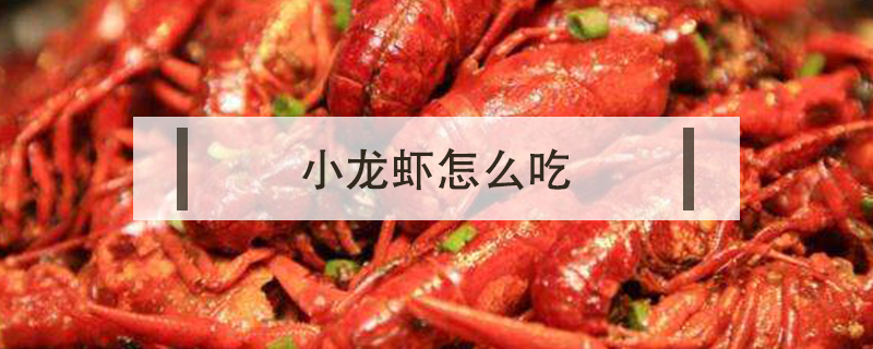 小龍蝦怎么吃