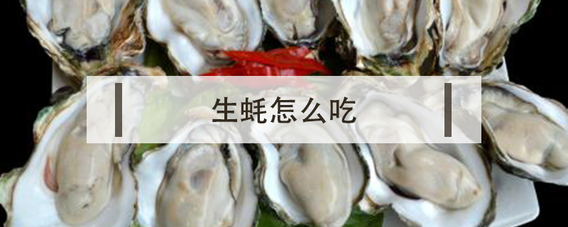 生蠔怎么吃