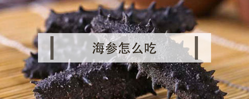海參怎么吃
