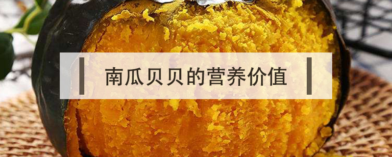 南瓜貝貝的營養價值