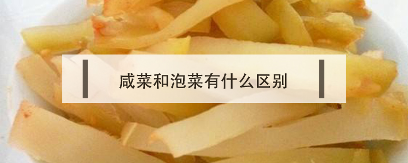 咸菜和泡菜有什么區別