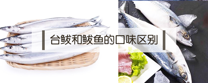 秋刀魚(yú)和鲅魚(yú)的區(qū)別是什么